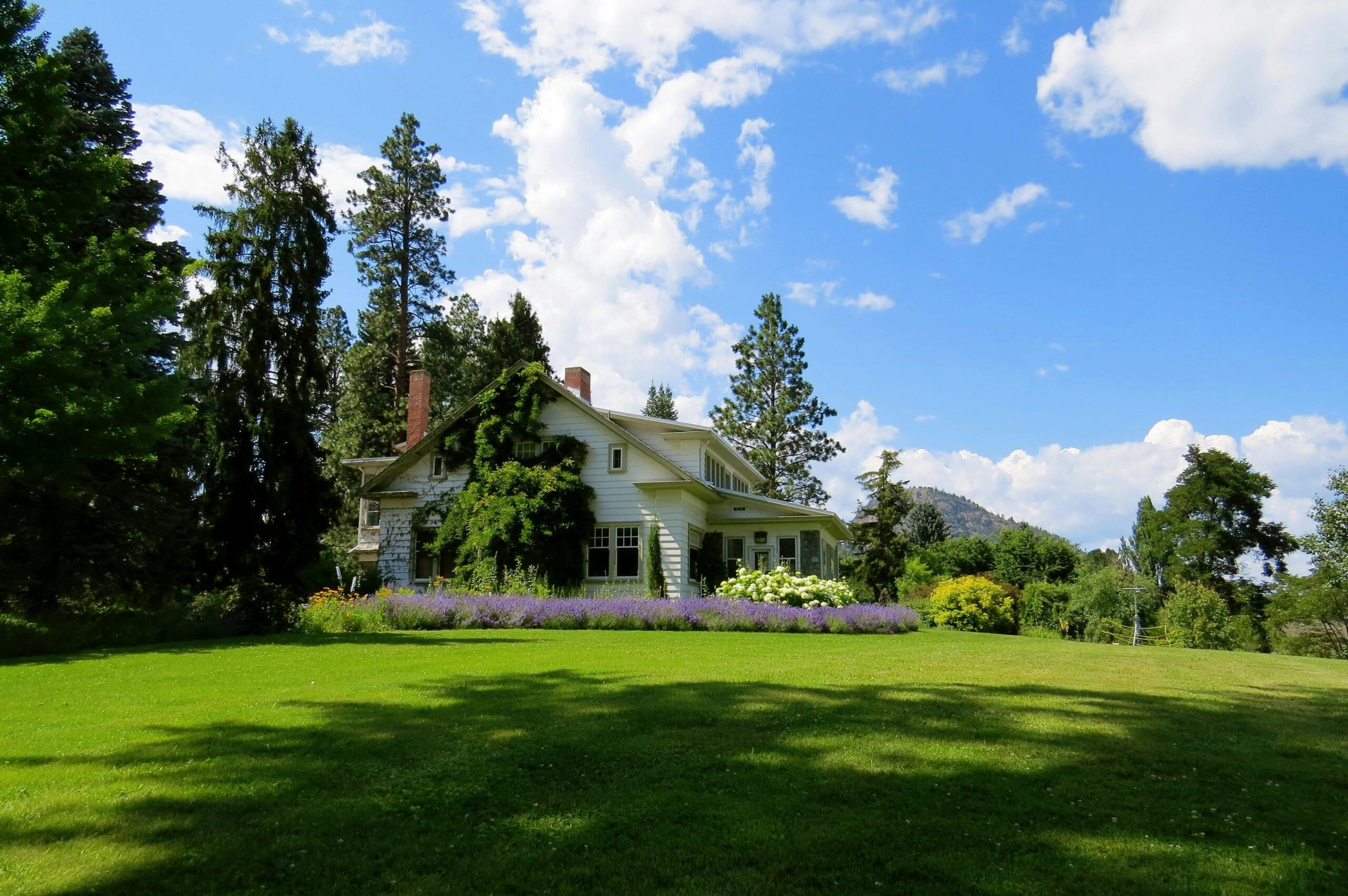 pexels-dianne-60973-226407