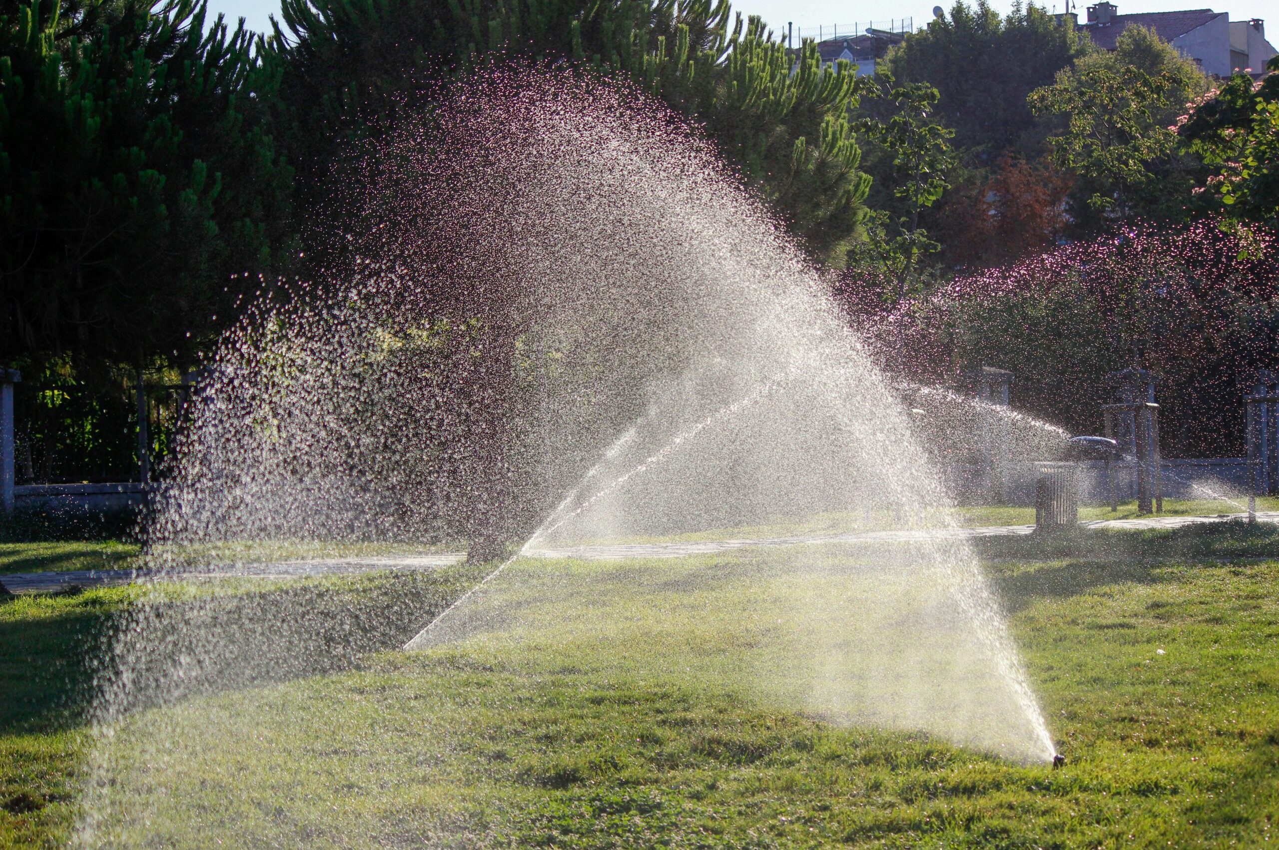 pexels-zahid-12887876